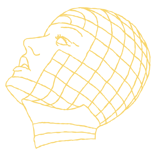 SocialFly Networks Logo