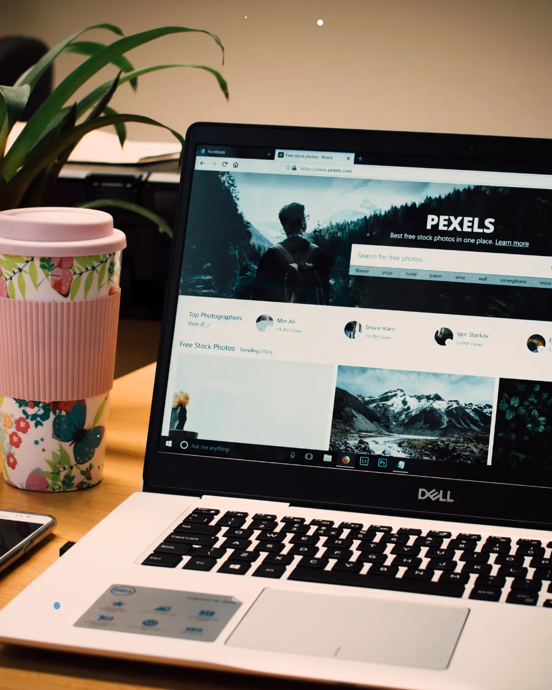 Web Engineering — Platform & SaaS