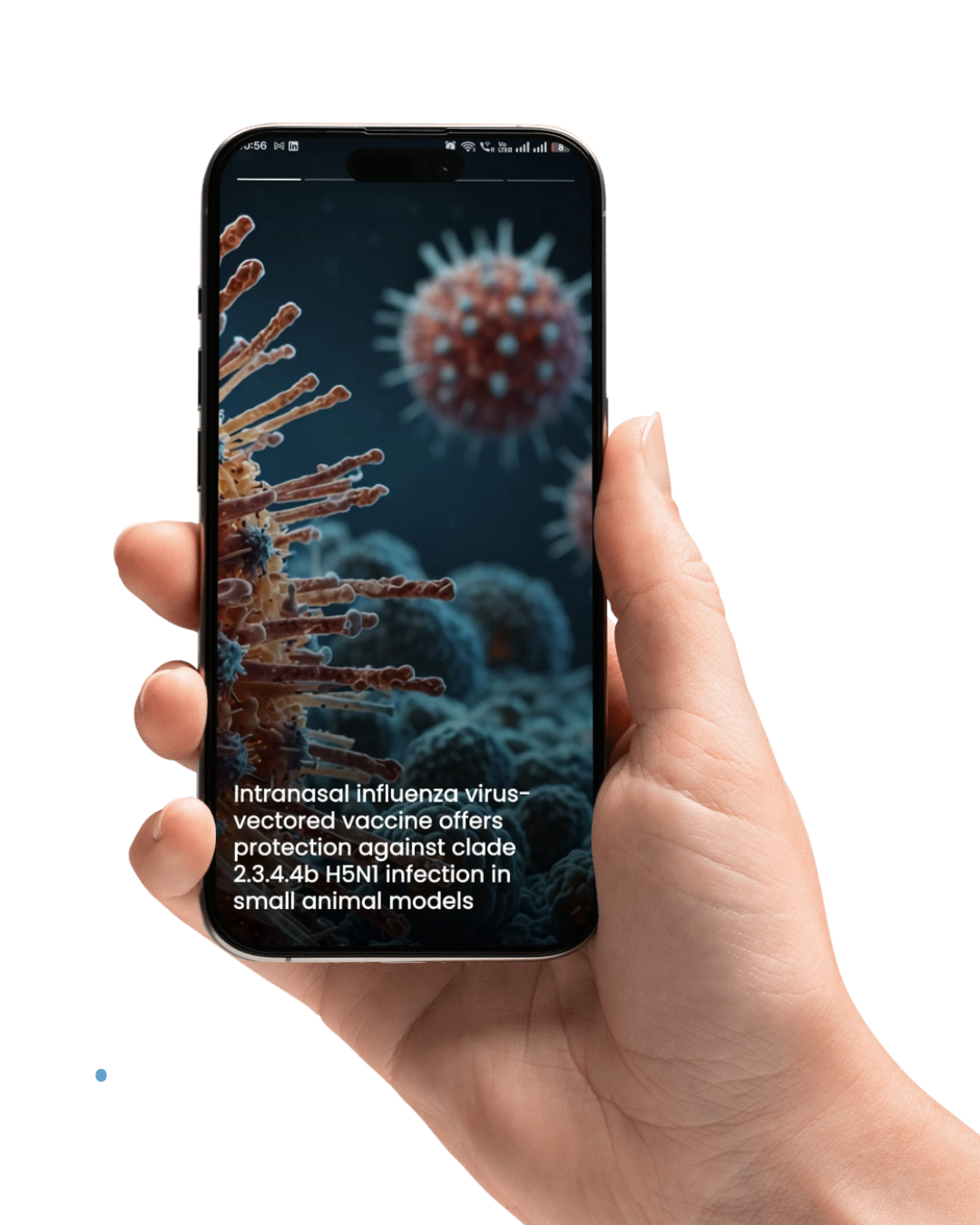 Mobile Experiences